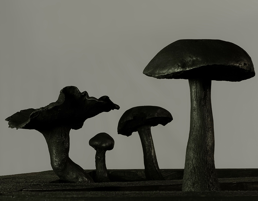 Kulturhuset Möbeln i Tierp