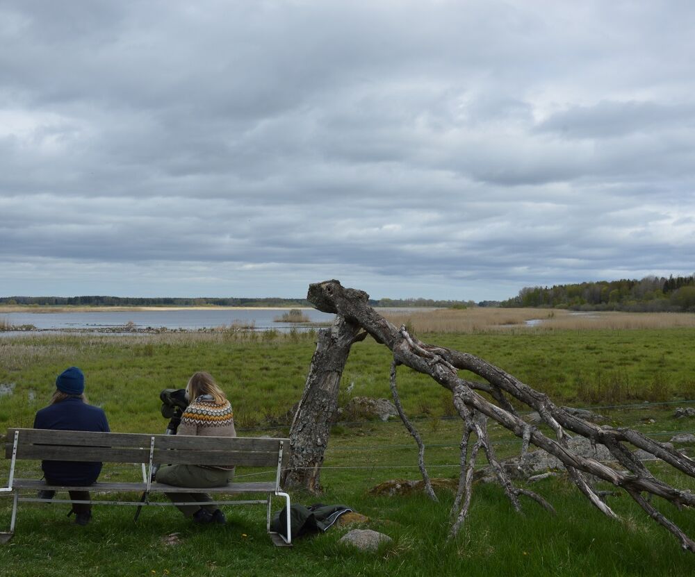 Vendelsjön Foto: Tierps kommun