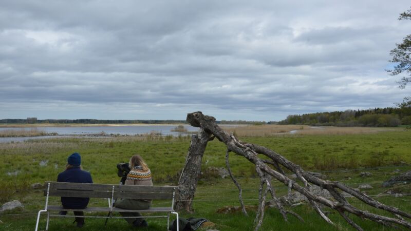 Vendelsjön Foto: Tierps kommun