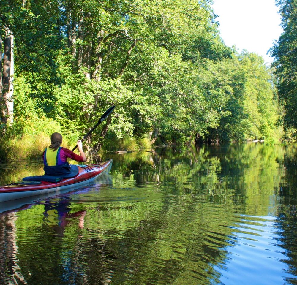 Tämnaråns kanotleden