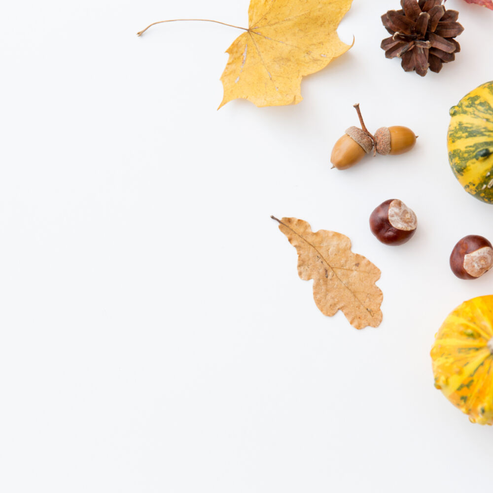 löv kastanjer och pumpor
