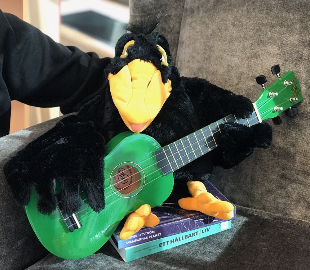 Kråkan och ukulele2