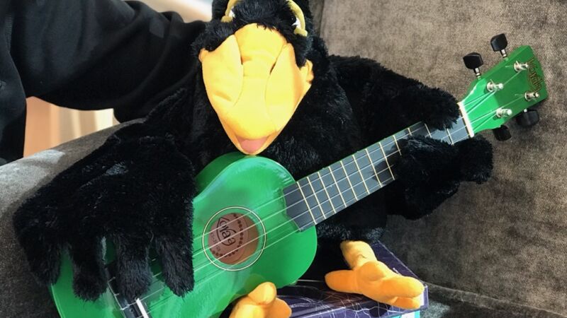 Kråkan och ukulele2