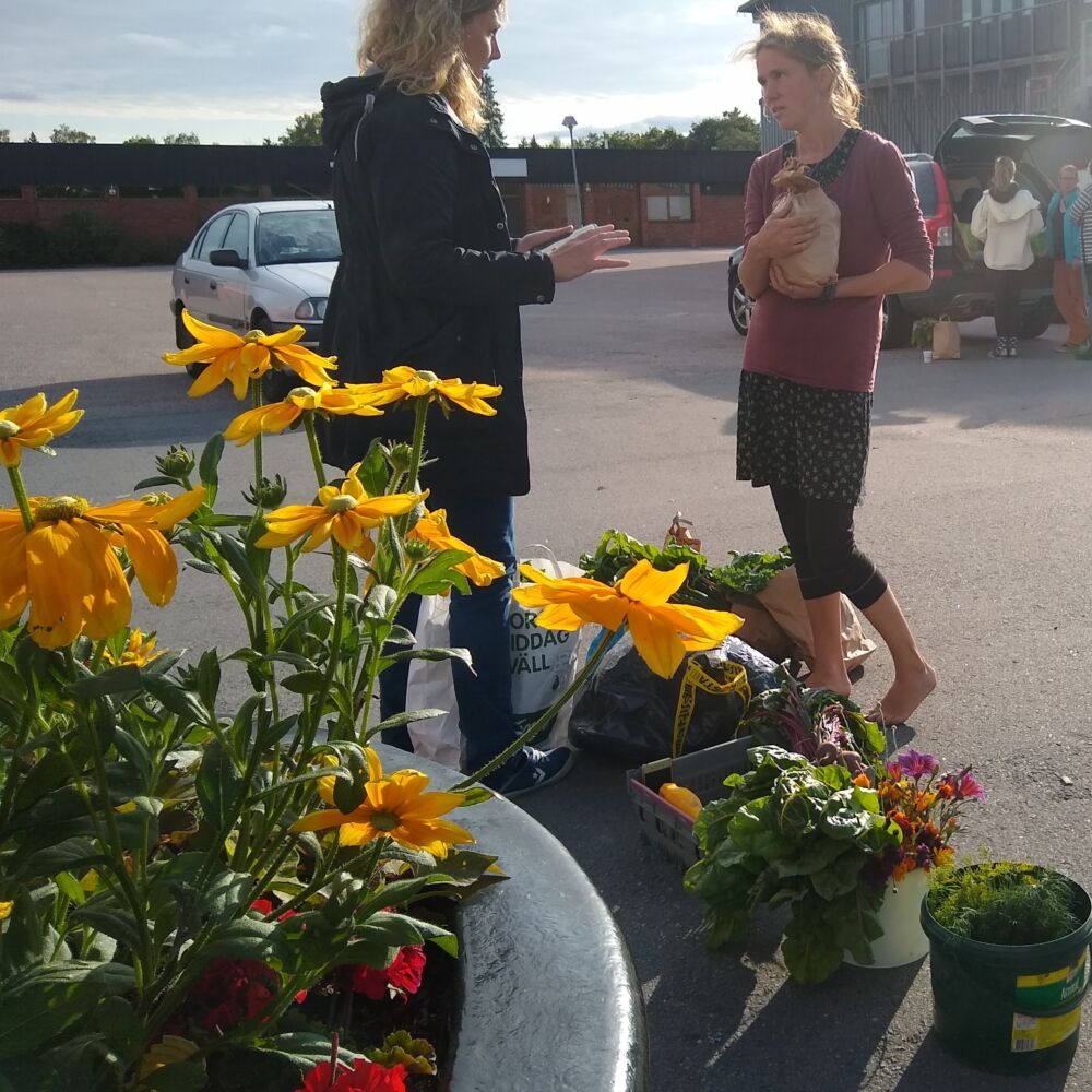 REKO foto Isabelle Axelsson