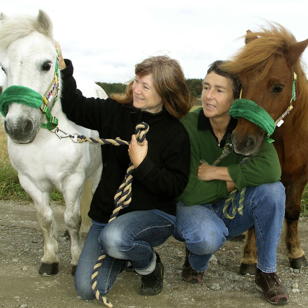 två kvinnor står med två små ponny (vit och brun)