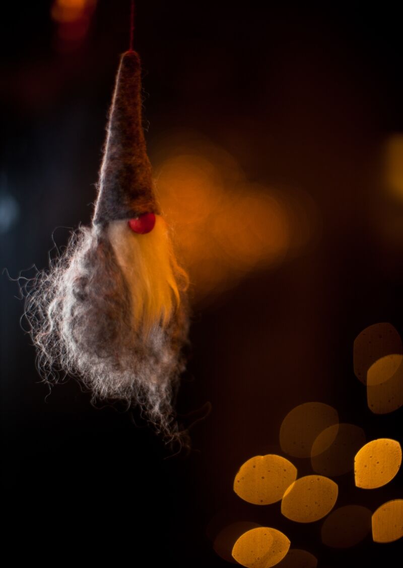 19890833-julnisse