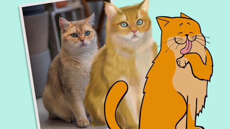 tre olika katter: en bild på en ljus brun katt, digitalt bearbetad bild, tecknad katt