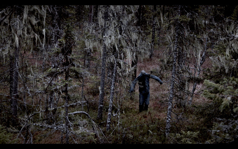fotografi av gustaf broms i skogen