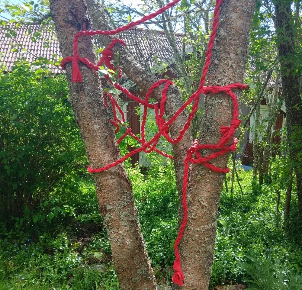 rött rep är lindat runt en trädstam.