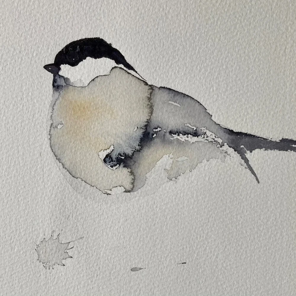 akvarellmålning av en liten fågel. talgoxe, målad av Hanna Ahrenby