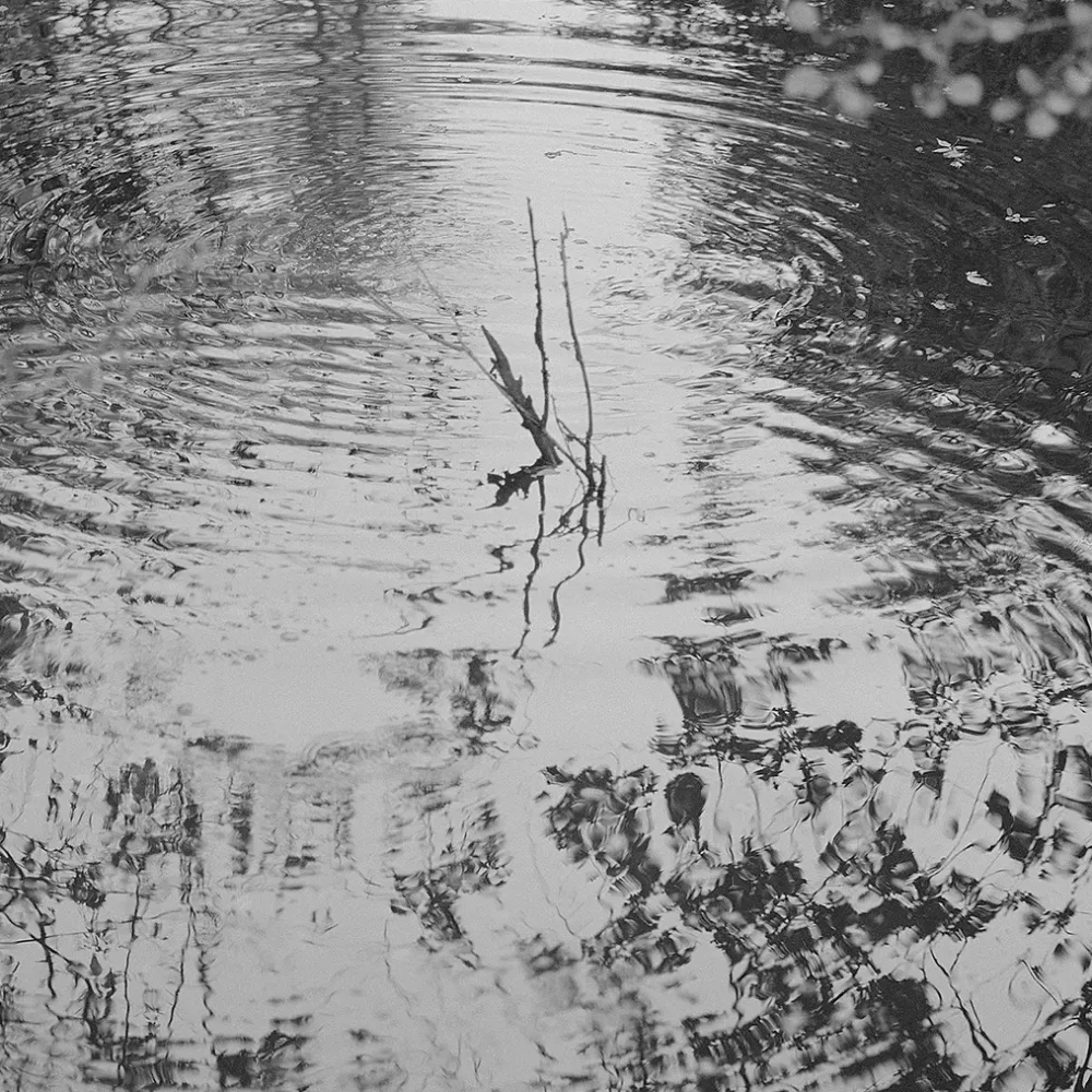 HAGRENBELA-TheSilverLake1