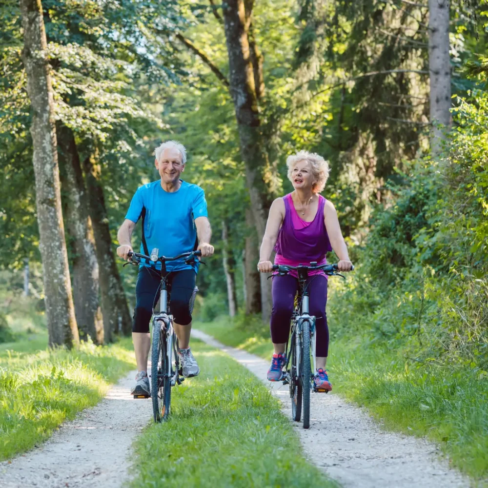 ett äldre par cyklar i skogen